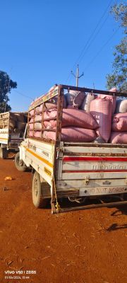 सीमा पर सख्ती का दिखा असर, 13 करोड़ का अवैध धान और 47 वाहन जब्त