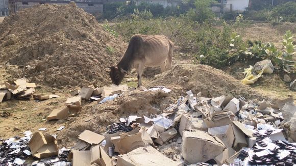 खुले में मिली पशु विभाग की दवाइयां, जांच की मांग