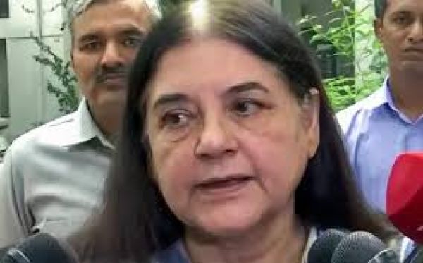 आवारा कुत्तों के मामले में मेनका गांधी की टिप्पणी से सुप्रीम कोर्ट नाराज़, कहा कोर्ट की 'अवमानना' हुई