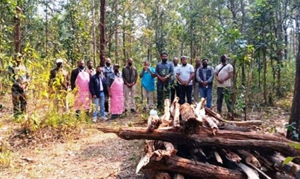 पोस्टमार्टम में बाघ की टूटी गर्दन, दांतों के निशान मिले, निगरानी व्यवस्था पर उठे सवाल