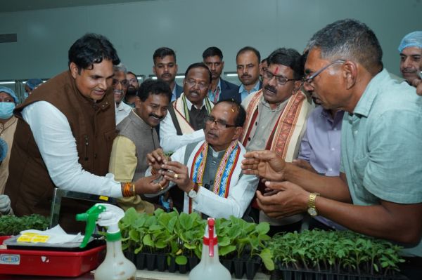 किसान को सुरक्षा के लिए  कृषि कानून जल्द-चौहान 