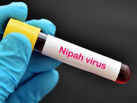 बंगाल : निपाह वायरस के संक्रमण से मुक्त हुई नर्स की हृदयगति रुकने से मौत