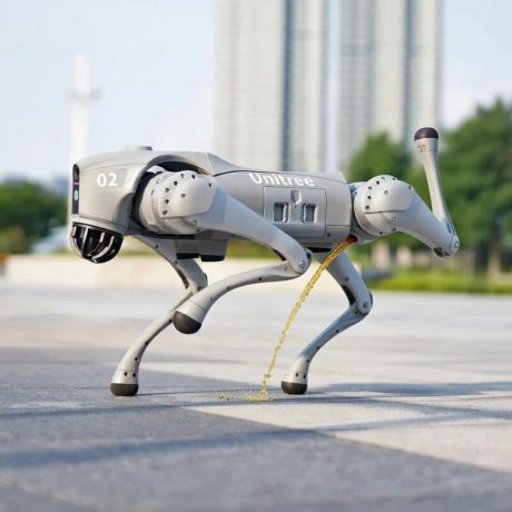 गलगोटिया विश्वविद्यालय ने एआई समिट में पैदा हुए ‘असमंजस’ के लिए माफी मांगी