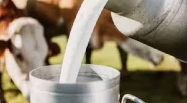 आंध्र दूध मिलावट: सरकार ने प्रत्येक मृतक के परिजन को 10 लाख रुपये देने की घोषणा की