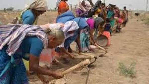 पीएम विकसित भारत रोजगार योजना: चेहरा मिलने ही होगा पेमेंट 