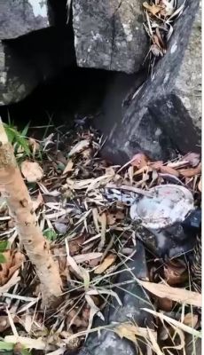 5-5 किलो के 2 प्रेशर बम बरामद