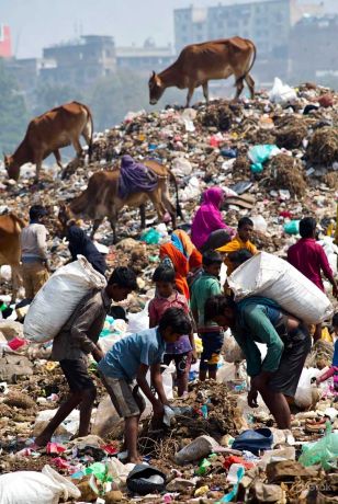 ‘छत्तीसगढ़’ का  संपादकीय : एक दिन ऐसा आएगा जब कोई न कचरा उठाएगा, तब शहरों में कौन जी पाएगा?