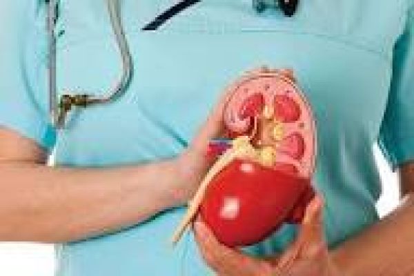 अवैध रूप से गुर्दा प्रतिरोपण कराने वाले गिरोह का भंडाफोड़ : सरगना समेत छह गिरफ्तार