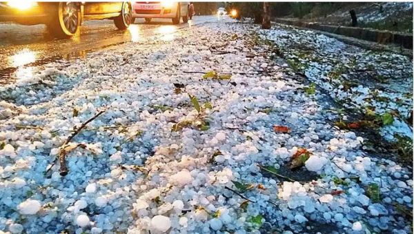 मॉनसून से पहले का मौसम बना किसानों का नया दुश्मन, बेमौसम बारिश-ओलावृष्टि से लाखों हेक्टेयर रबी फसल तबाह