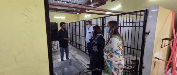 डाग बर्थ कंट्रोल सेंटर सोनडोंगरी कालीबाड़ी में रोज़ 30 की नसबंदी