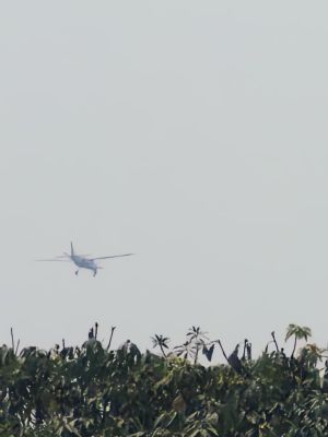 देखें VIDEO : जशपुर  के आरा पहाड़ से एक प्राइवेट विमान टकराया, मौतों की पुष्टि नहीं 