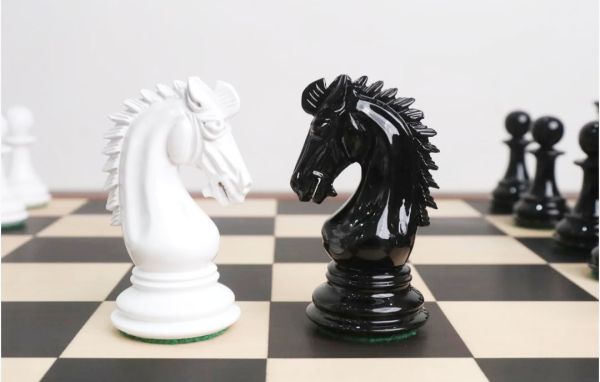 राज्य अंडर 7 शतरंज चैंपियनशिप रायपुर में 2 मई से