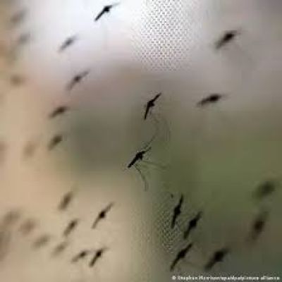 मलेरिया से लड़ाई में शिशुओं के लिए दवा को मिली मंजूरी