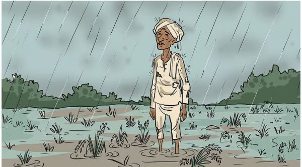 भारत में हर घंटे एक किसान की आत्महत्या: 2024 में मामूली कमी के बावजूद 10,546 किसान व खेतिहर मजदूरों ने दी जान