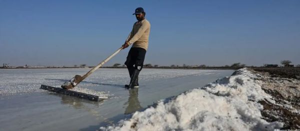 कैसे जानलेवा गर्मी में काम करते हैं नमक बनाने वाले श्रमिक