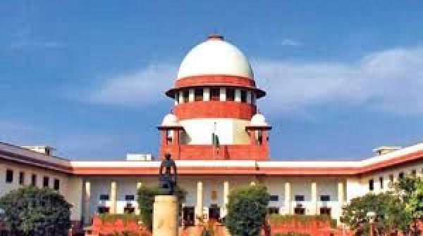 आवारा कुत्तों का मामला: पंजाब के मुख्यमंत्री के बयान संबंधी याचिका पर न्यायालय का सुनवाई से इनकार