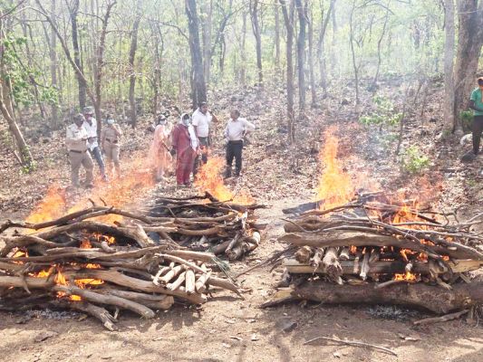 गर्मी और हीटवेव से डेढ़ दर्जन वन्य पक्षियों की मौत