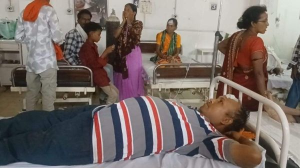 सुशासन तिहार के दौरान पेड़ गिरा,  7 जख्मी