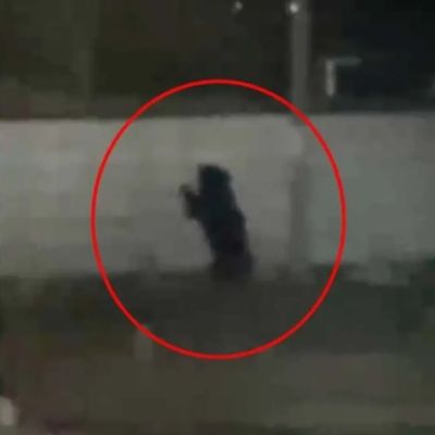 शहर के बीच चौराहे पर पहुंचा भालू, सूख गई रहवासियों की जान