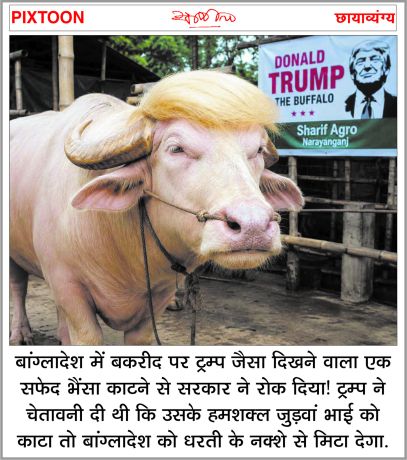 दैनिक 'छत्तीसगढ़' का पिक्सटून, 29 मई 2026