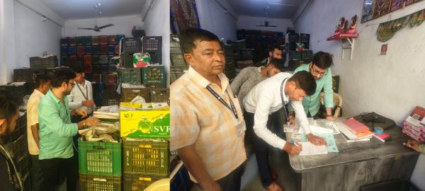 तीन दिन में 52 फ्रूट फर्मों का निरीक्षण, 105 किलो सड़े आम व केले नष्ट
