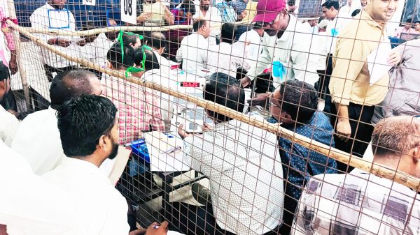 नपं चुनाव : भाजपा के तीन, और कांग्रेस के दो अध्यक्ष चुने गए
