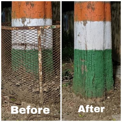 निगम क्षेत्र में  पेड़ पौधों को विकसित करने कांक्रीट, ट्री गार्ड के घेरे हटाए जा रहे 