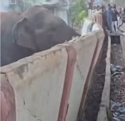 कटहल खाने हाथियों ने छात्रावास की दीवार ढहाई, फसलों और नर्सरी को भी पहुंचाया नुकसान
