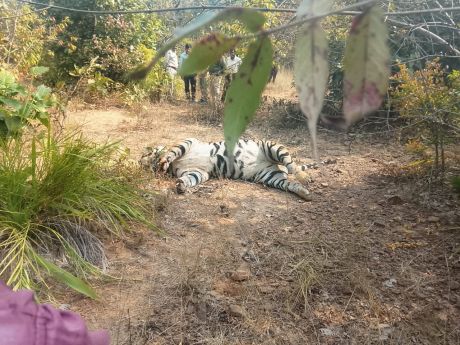 17657937172.jpg 17657937172.jpg