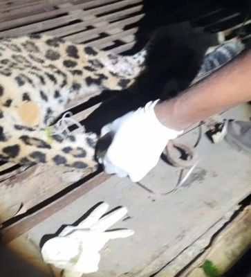 1766742556G_56.jpg 1766742556G_56.jpg