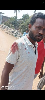 1770027016Image_-11.jpeg 1770027016Image_-11.jpeg