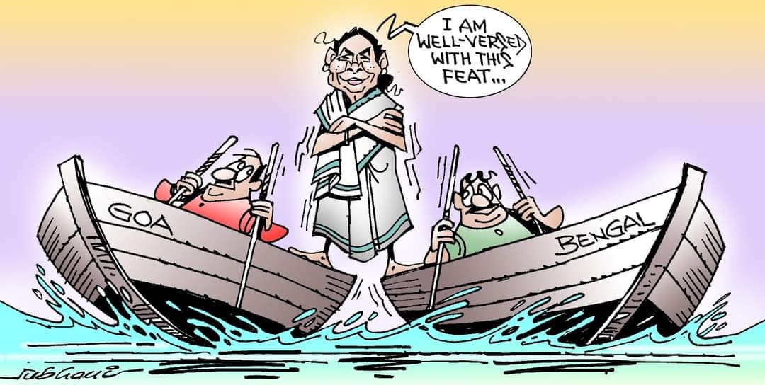 कार्टूनिस्ट सुभानी, डेक्कन क्रॉनिकल