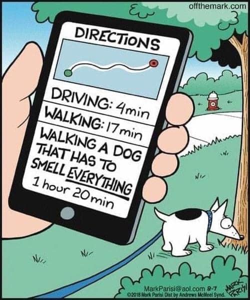 कार्टून ,सोशल मीडिया