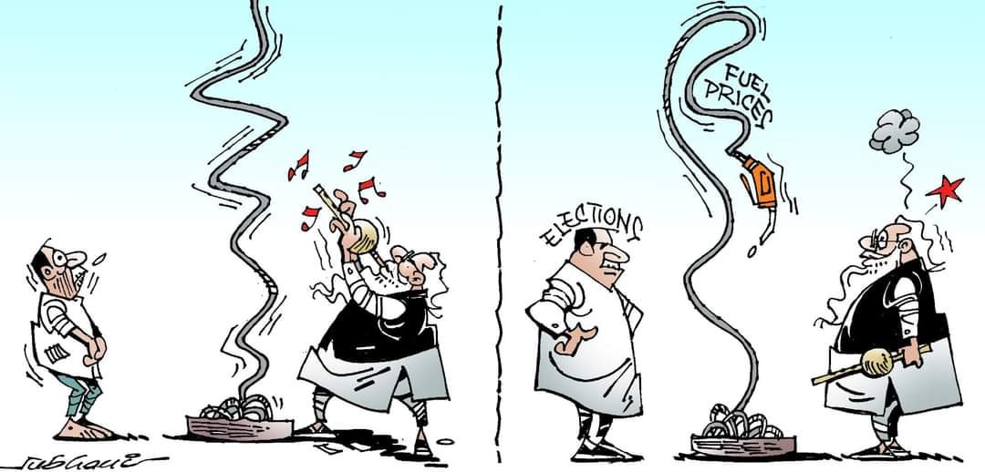 कार्टूनिस्ट सुभानी, डेक्कन क्रॉनिकल