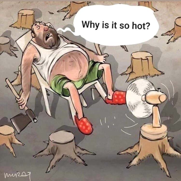 कार्टून ,सोशल मीडिया