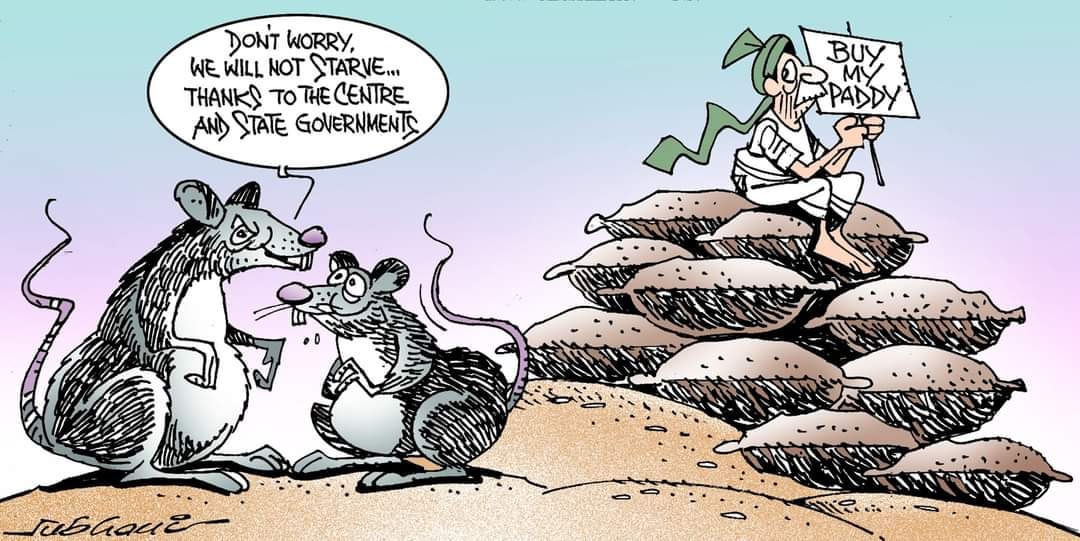 कार्टूनिस्ट सुभानी, डेक्कन क्रॉनिकल