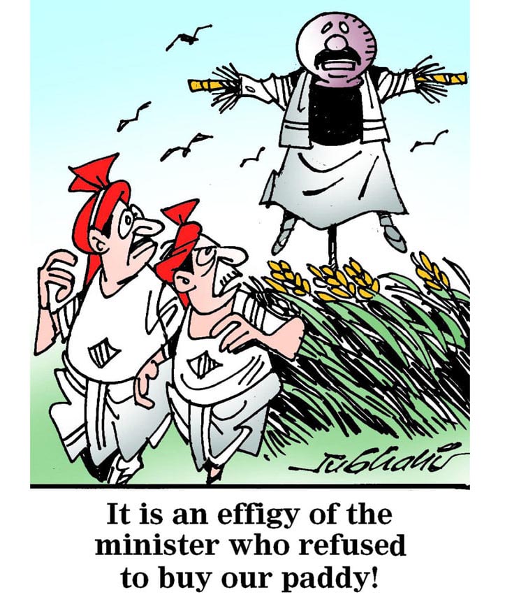 कार्टूनिस्ट सुभानी, डेक्कन क्रॉनिकल