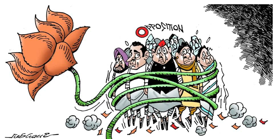 कार्टूनिस्ट सुभानी, डेक्कन क्रॉनिकल