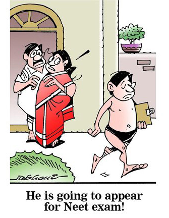 कार्टूनिस्ट सुभानी, डेक्कन क्रॉनिकल