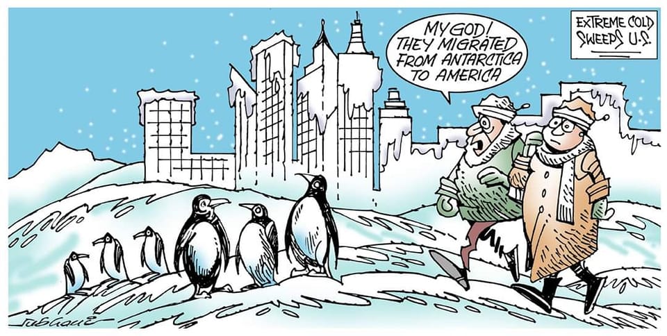 कार्टूनिस्ट सुभानी, डेक्कन क्रॉनिकल