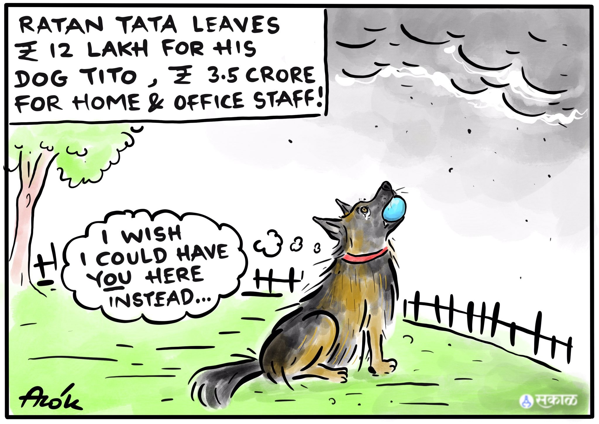 कार्टूनिस्ट आलोक निरंतर, सकाल मीडिया ग्रुप