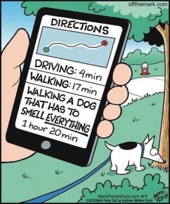 कार्टून ,सोशल मीडिया