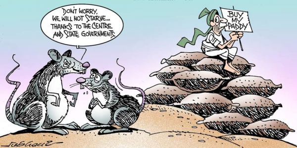 कार्टूनिस्ट सुभानी, डेक्कन क्रॉनिकल