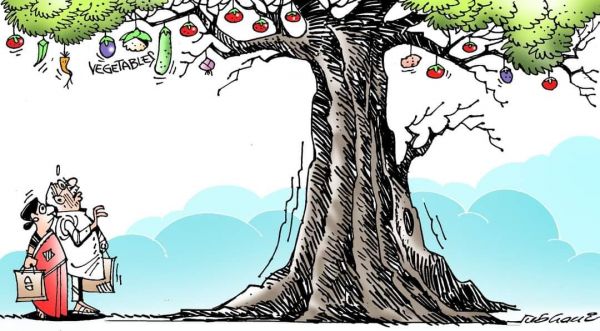 कार्टूनिस्ट सुभानी, डेक्कन क्रॉनिकल