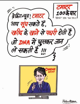 कार्टूनिस्ट किशोर मीणा