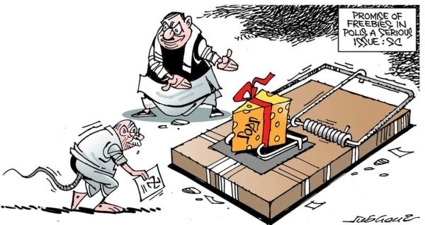 कार्टूनिस्ट सुभानी, डेक्कन क्रॉनिकल