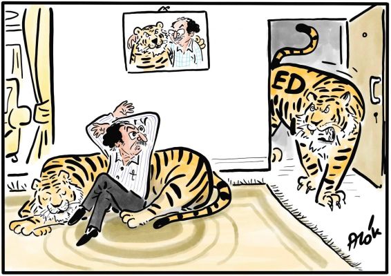 आलोक निरंतर का कार्टून, सकाल मीडिया ग्रुप