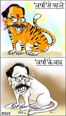 कार्टूनिस्ट माधव बाजपेयी, राष्ट्रीय सहारा