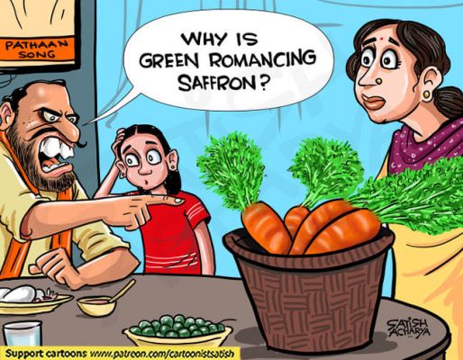 कार्टूनिस्ट सुभानी, डेक्कन क्रॉनिकल