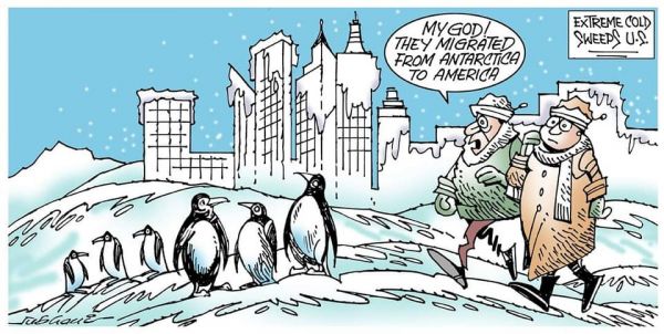 कार्टूनिस्ट सुभानी, डेक्कन क्रॉनिकल